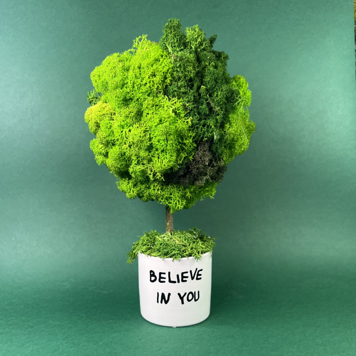 Copacel Believe in you 22x12cm [2]