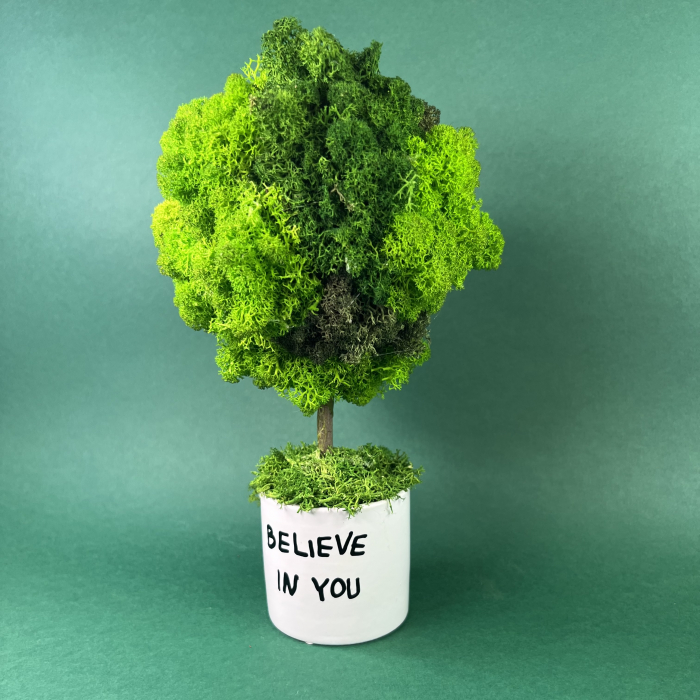 Copacel Believe in you 22x12cm [3]
