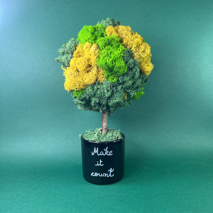 Copacel Make it count 25x13cm [2]