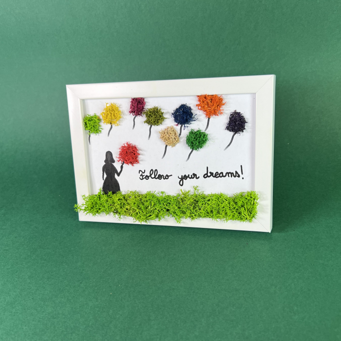 Tablou Follow your dreams 10x15cm [3]