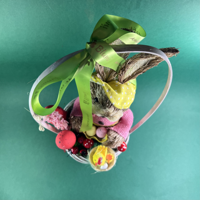 Iepuras in cosulet [2]