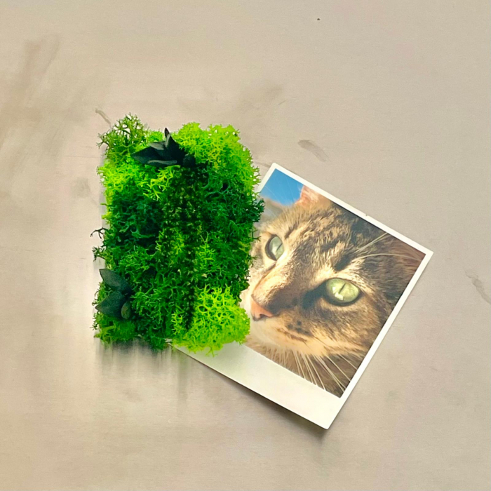 Magnet Liane 8x5cm [2]