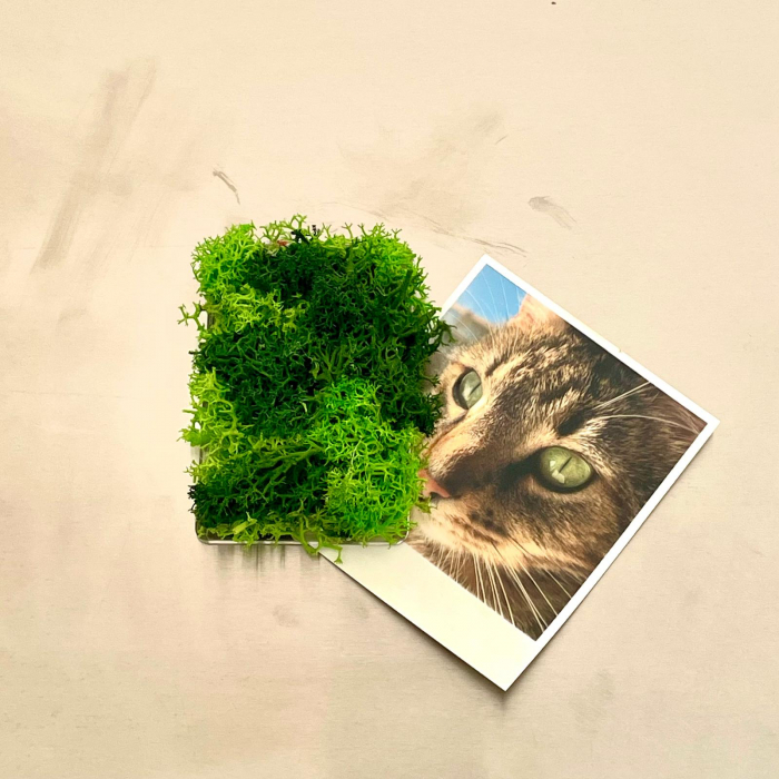 Magnet Vesnic Verde 8x5cm [2]