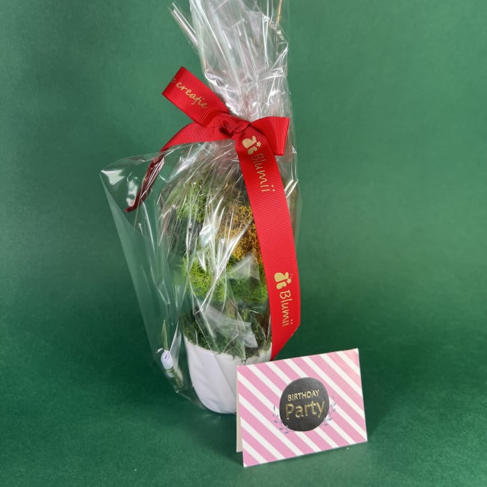 Maxi Copacel personalizabil 40x18cm [7]