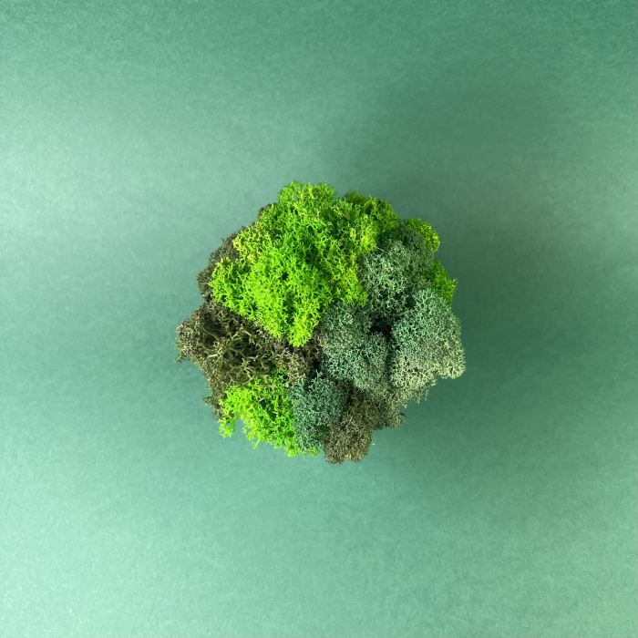 Mini vas cu licheni 9x9cm [3]