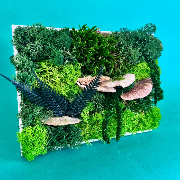 Tablou Ecou din natura 15x20cm [3]