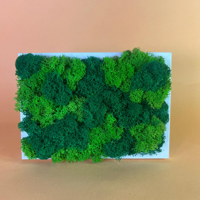 Tablou Coltisor verde 10x15cm [2]