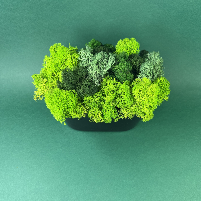 Vas cu licheni verzi 17x15cm [3]