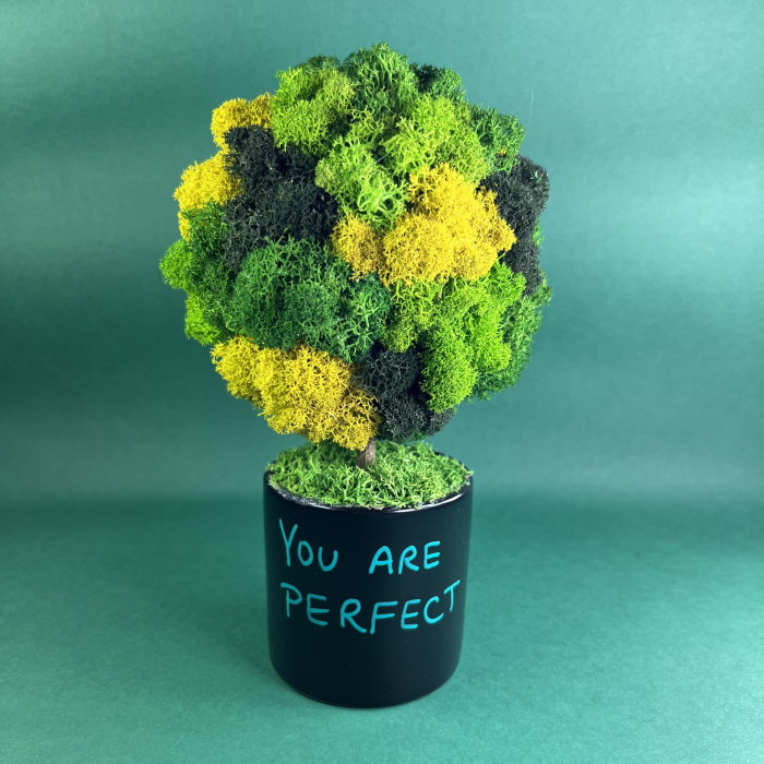 Copacel You are perfect 25x13cm [2]