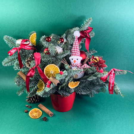 MAGIA CRACIUNULUI - Aranjament rosu