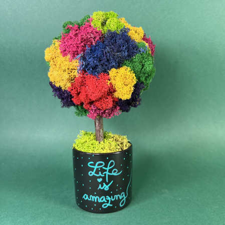 MINI COPACEI - Copacel Amazing life 25x13cm