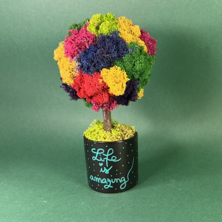 Copacel Amazing life 25x13cm [3]