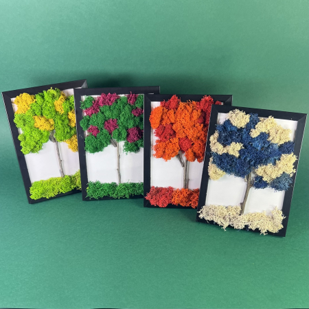 TABLOURI LICHENI - Set tablouri Anotimpurile 13x18cm