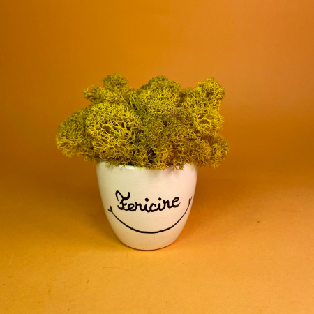 Mici cadouri naturale - Aranjament Fericire 9x9cm
