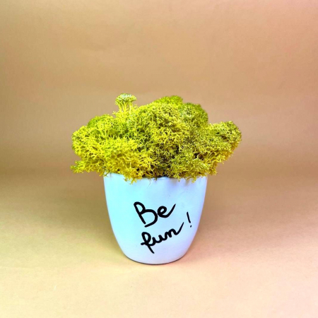 Mici cadouri naturale - Aranjament Be fun 9x9cm