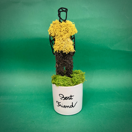 Mici cadouri naturale - Aranjament Best Friend (He) 23X8cm