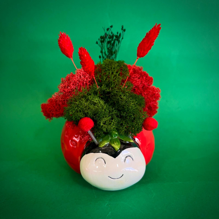 Mici cadouri naturale - Aranjament Capsunica simpatica 17cm