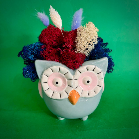 Mici cadouri naturale - Aranjament BufniCici 19cm