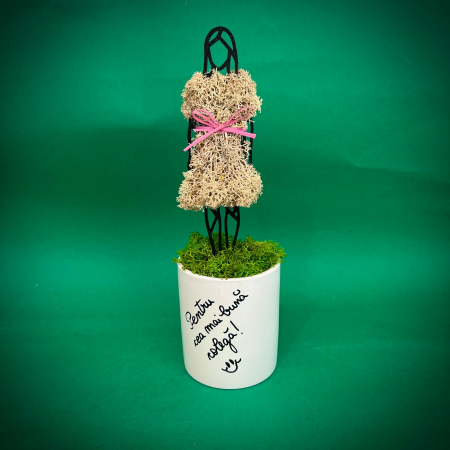 Mici cadouri naturale - Aranjament Cea mai buna colega 23X8cm