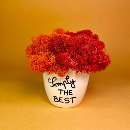 Mici cadouri naturale - Aranjament Best 9x9cm