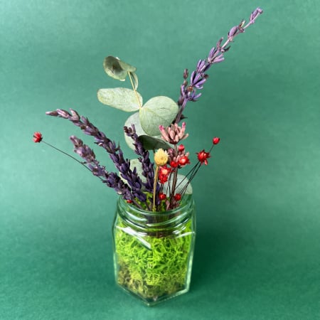 Borcanel inflorit 17cm [1]