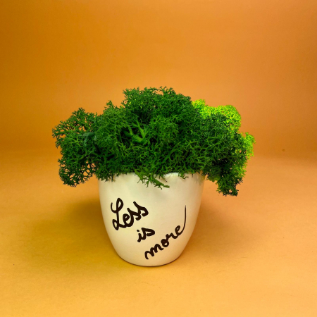 Mici cadouri naturale - Aranjament Less is More 9x9cm