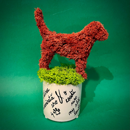 Aranjament Woof Dog 20X14cm [1]