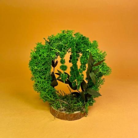 LICHIDARI DE STOC - Aranjament Gradina Mystery 13X12X6cm