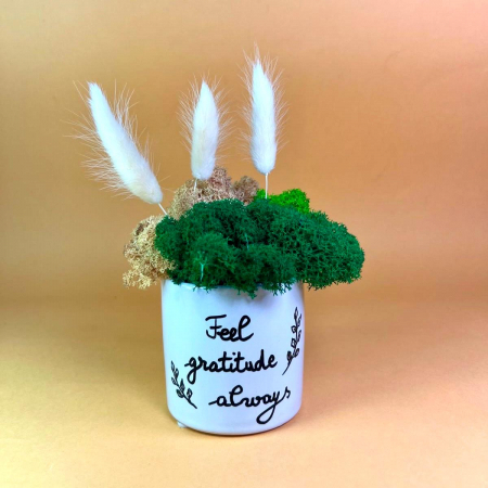 Mici cadouri naturale - Aranjament Feel gratitude 20x12cm