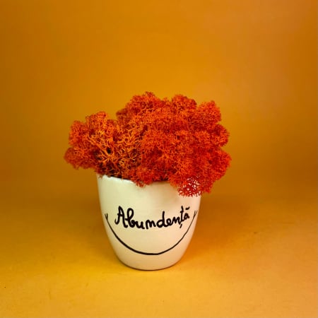 Mici cadouri naturale - Aranjament Abundenta 9x9cm
