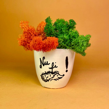 Mici cadouri naturale - Aranjament Arici 15x9cm