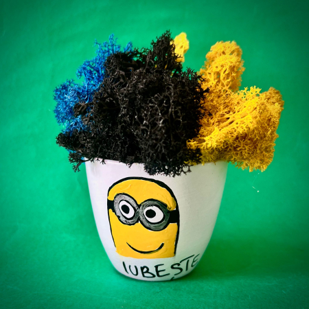 Funny - Aranjament Minion Iubitor 10x9cm