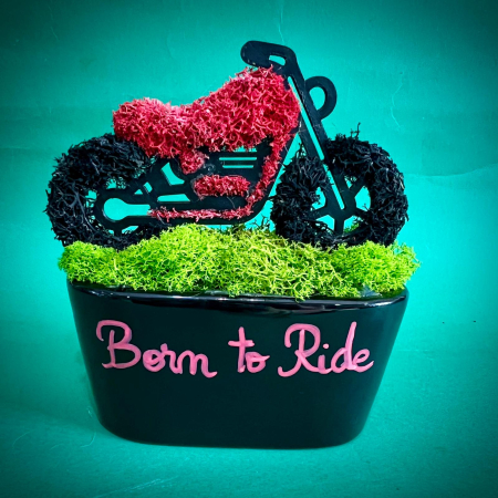 Cadouri pentru el - Aranjament Moto Rosie 18X17cm