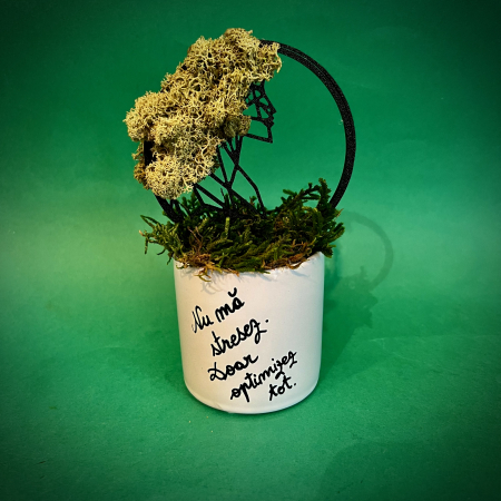 Mici cadouri naturale - Aranjament zodie Fecioara 18X8cm