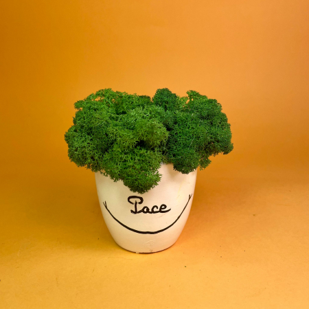 Mici cadouri naturale - Aranjament Pace 9x9cm
