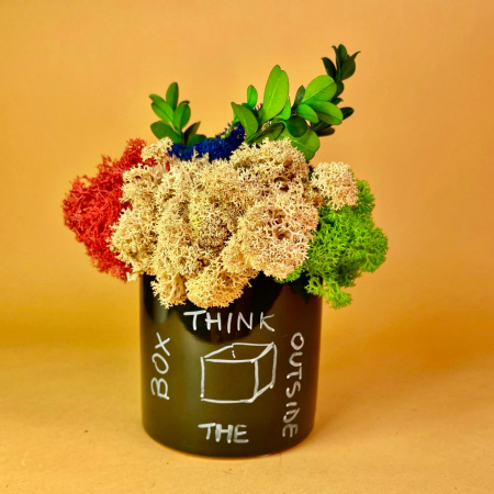 Mici cadouri naturale - Aranjament Think Outside 17x12cm