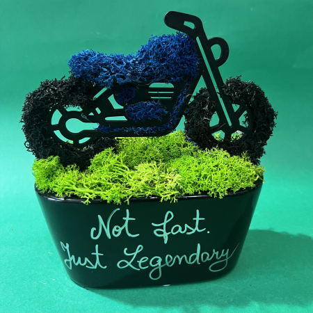 Mici cadouri naturale - Aranjament Moto 18X17cm