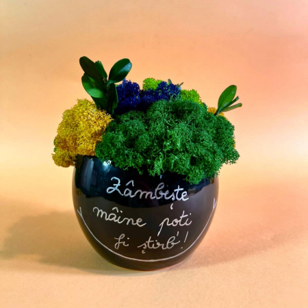 Mici cadouri naturale - Aranjament Zambaretul stirb 17x13cm