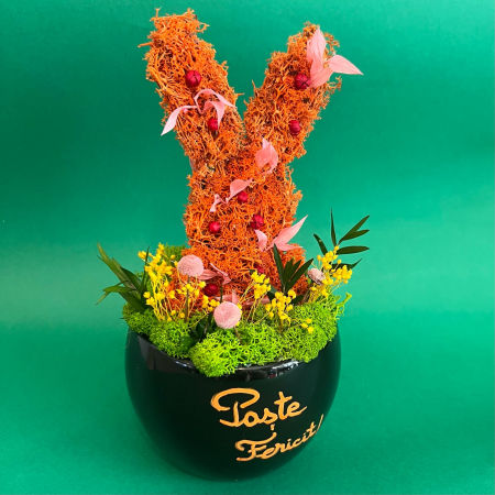 Aranjament Iepurila Morcovila 24X11cm [1]