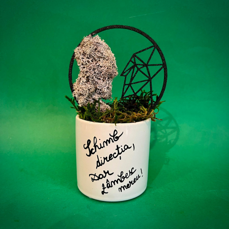 LICHIDARI DE STOC - Aranjament zodie Gemeni 18X8cm