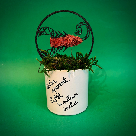 Mici cadouri naturale - Aranjament zodie Scorpion 18X8cm