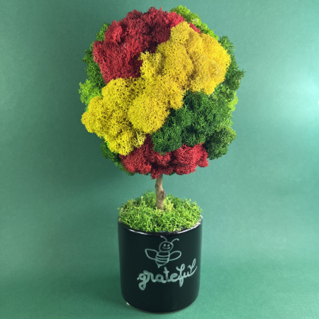 Copacel Be grateful 25x13cm [1]