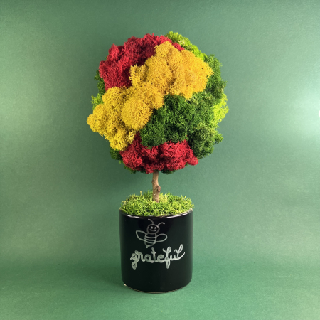 MINI COPACEI - Copacel Be grateful 25x13cm
