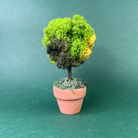 MINI COPACEI - Mini copacel 13x6cm