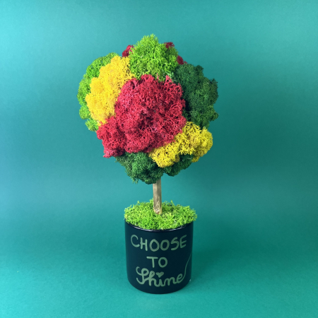 Copacel Choose to shine 25x13cm [1]