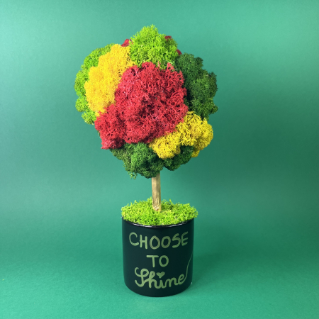 MINI COPACEI - Copacel Choose to shine 25x13cm