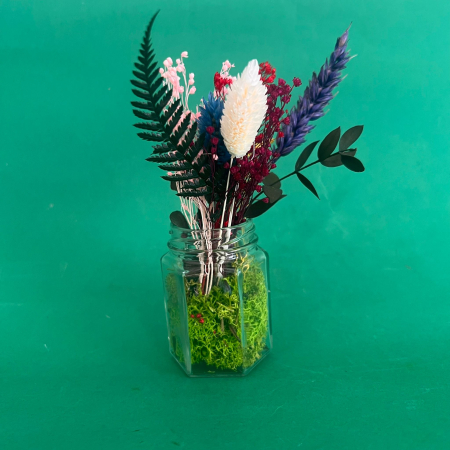 Borcanel inflorit 17cm [1]