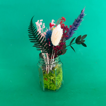 Borcanel inflorit 17cm [3]