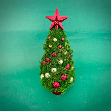 MAGIA CRACIUNULUI - Bradul cu Magie Verde 30X12cm