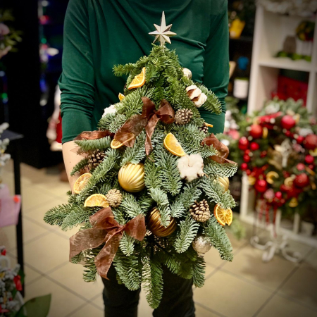 MAGIA CRACIUNULUI - Bradut auriu